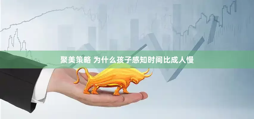 聚美策略 为什么孩子感知时间比成人慢