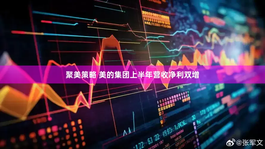 聚美策略 美的集团上半年营收净利双增